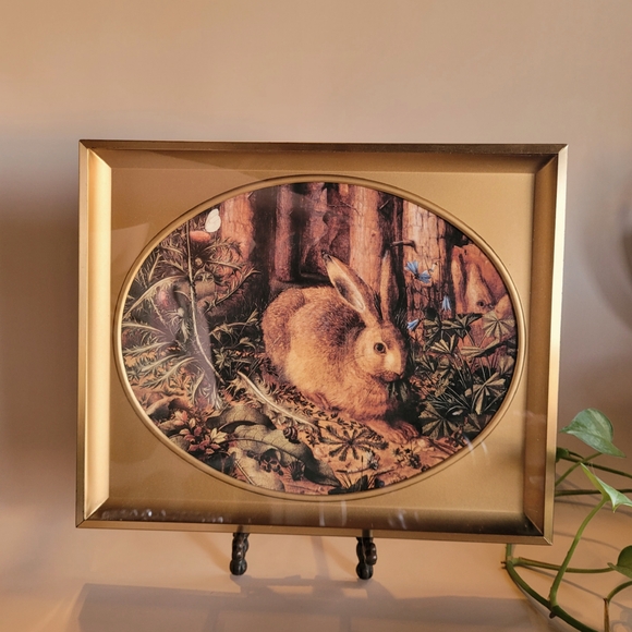 Framed Rabbit Art Print - Picture 1 of 4